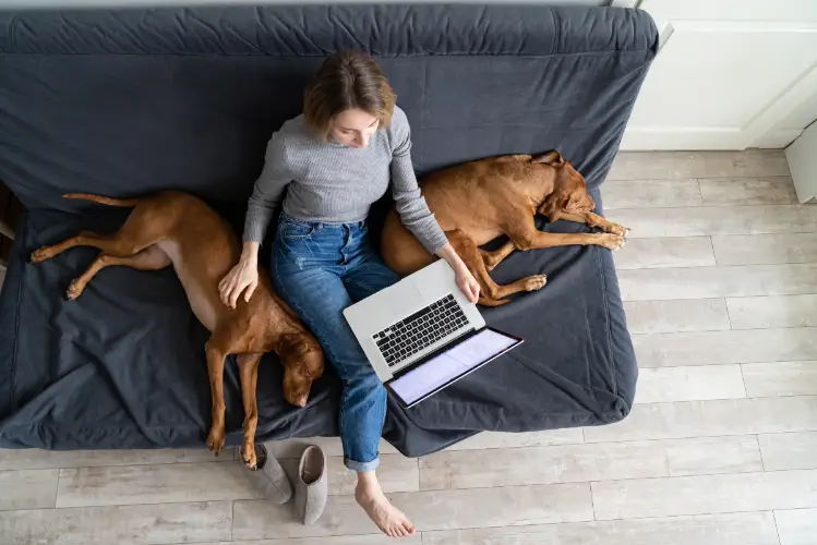 Naine istub diivanil koos kahe truuga koeraga, süles sülearvuti, sümboliseerides Nola Accounting iseteeninduse mugavust ja lihtsust müügiarvete koostamisel, mis on saadaval otse tema seadmest